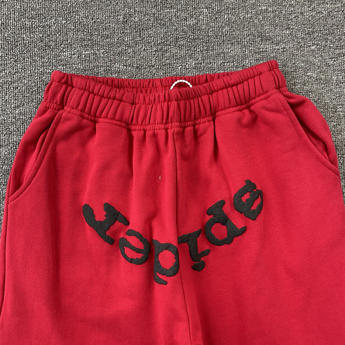 Spider PANTS12