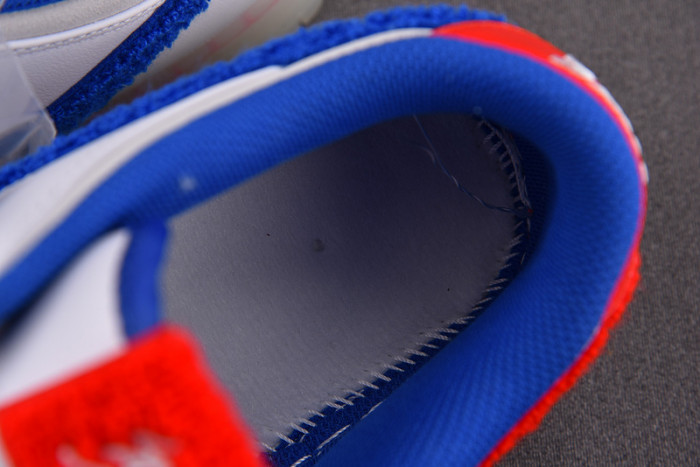 Nike Dunk Low "Year Of The Rabbit" FD4203-161