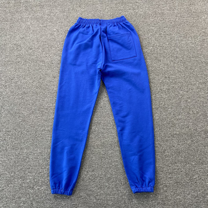 Spider PANTS13