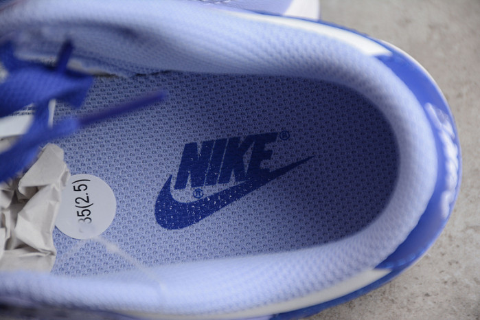 Nike Dunk Low Blueberry  DZ4456-100