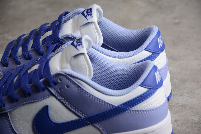 Nike Dunk Low Blueberry  DZ4456-100