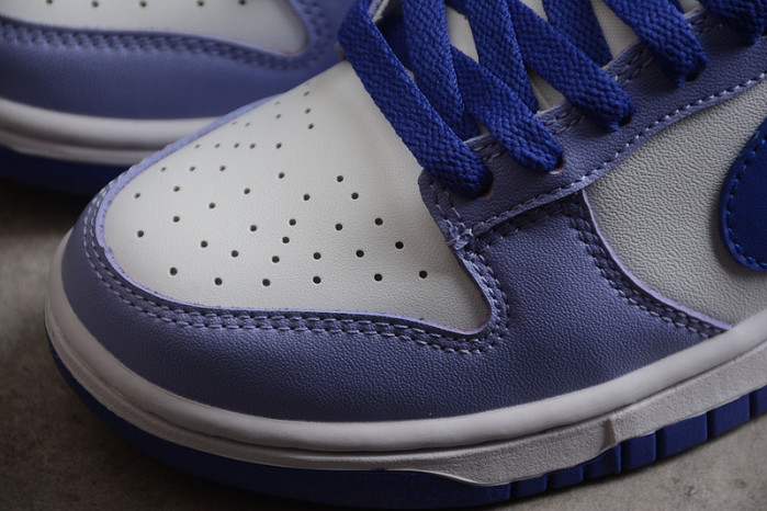 Nike Dunk Low Blueberry  DZ4456-100