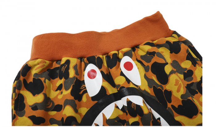 BAPE Shorts58