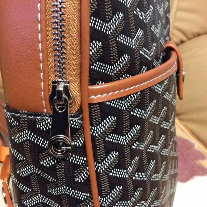 GOYARD BAG6