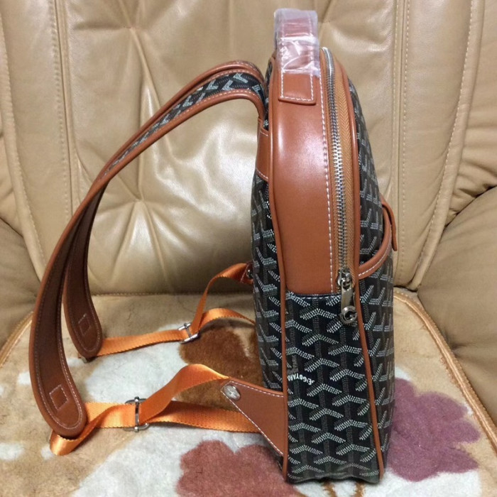 GOYARD BAG6