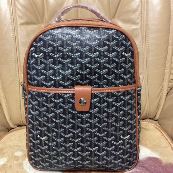 GOYARD BAG6
