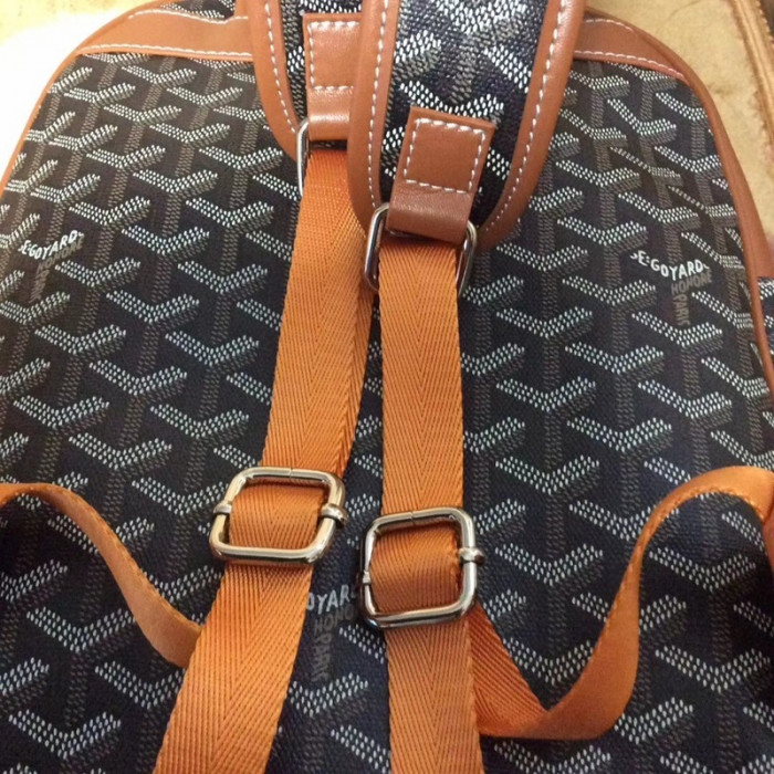 GOYARD BAG6