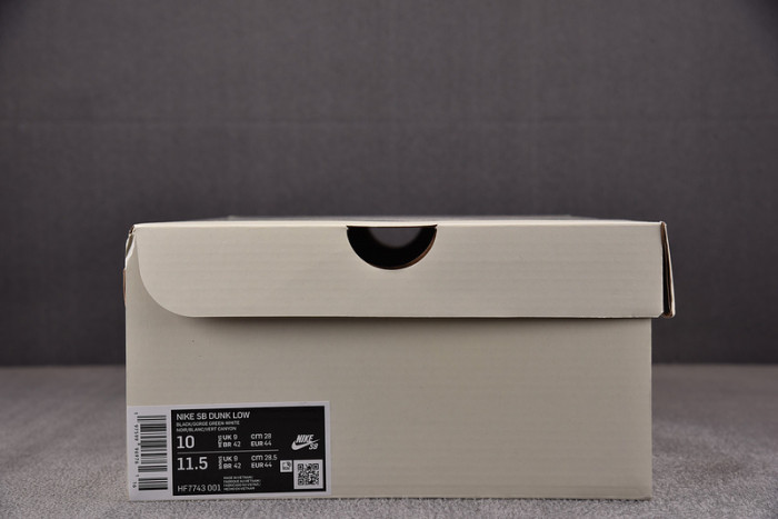 Nike SB Dunk Low There Skateboards HF7743-001