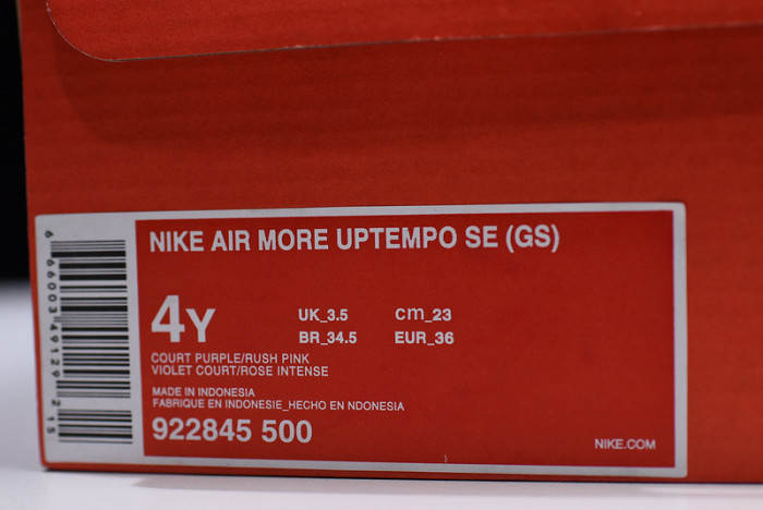 Nike Air More Uptempo SE GS Court Purple 922845-500