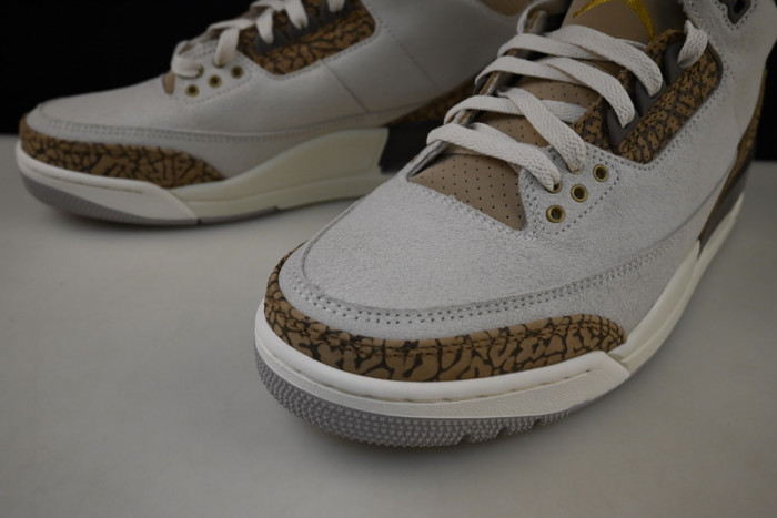 Air Jordan 3 Palomino CT8532-102