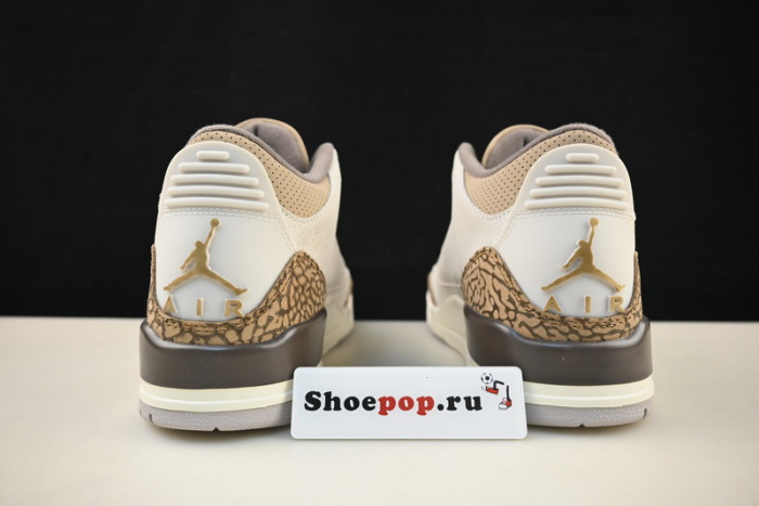 Air Jordan 3 Palomino CT8532-102