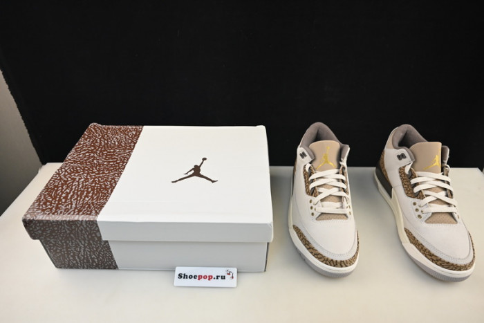 Air Jordan 3 Palomino CT8532-102