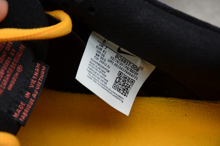 Nike SB Dunk Low ACG Terra  BQ6817-008