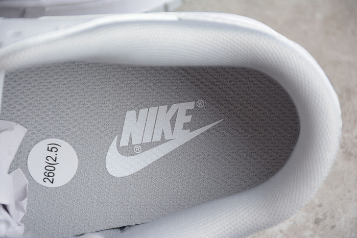 Nike Dunk Low Retro White Grey DJ6188-003
