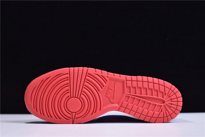 Nike Dunk Low Samba  2020   CZ2667-400