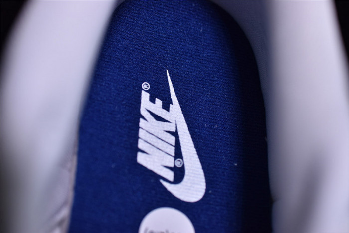 Nike Dunk Low Samba  2020   CZ2667-400