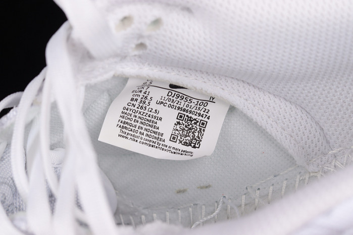 Nike Dunk Low White Paisley DJ9955-100