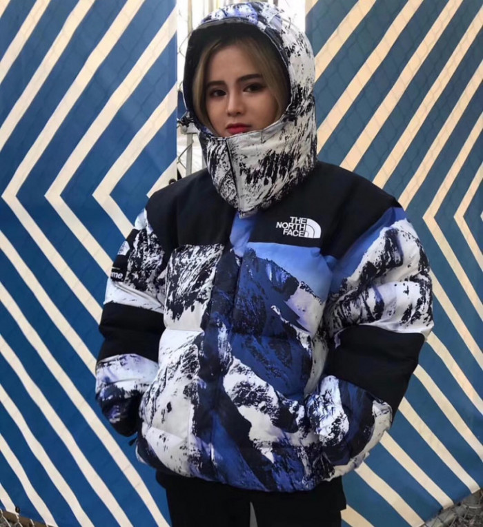 Supreme The North Face Jacket