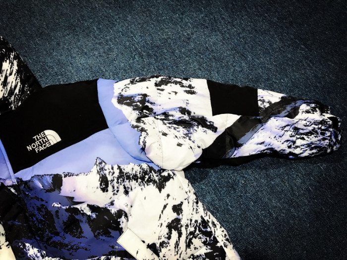 Supreme The North Face Jacket
