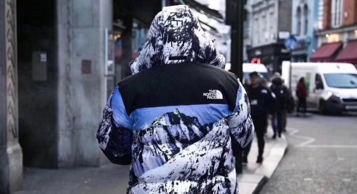 Supreme The North Face Jacket