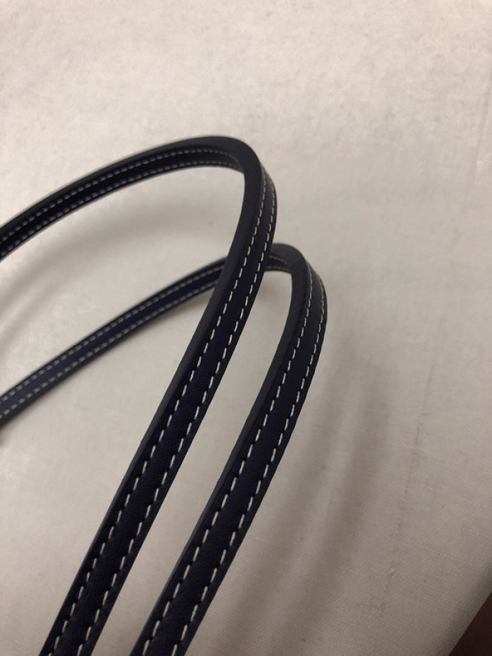 GOYARD BAG19