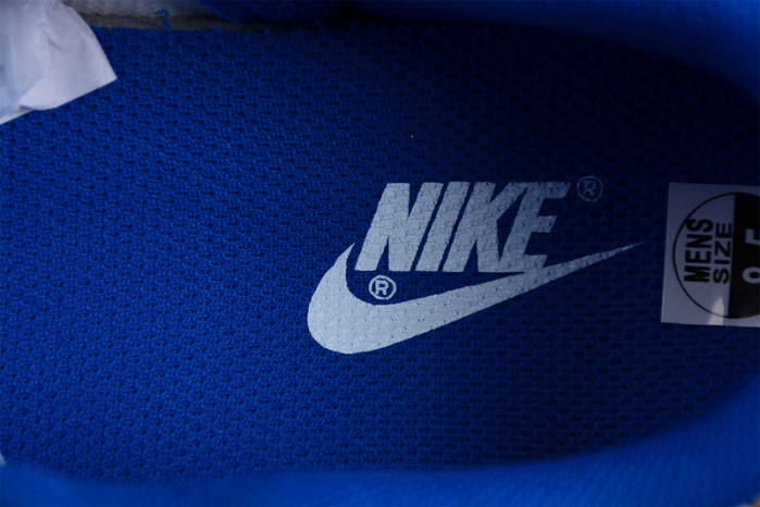 Nike Dunk Low Royal Blue Gold FB7173-141