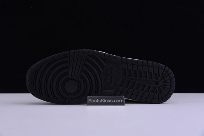Air Jordan 1 Rookie of the Year 555088-700