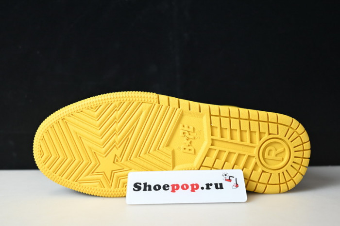 Bathing Ape A000029