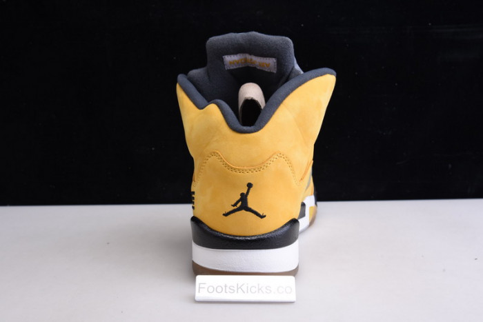 Air  Jordan 5 Retro Tokyo T23  454783-701