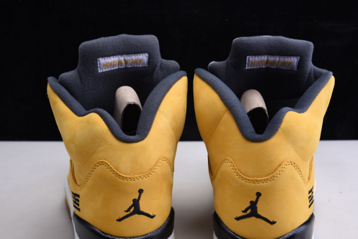 Air  Jordan 5 Retro Tokyo T23  454783-701