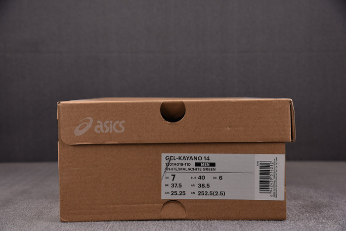 Asics Gel-Kayano 14 1201A019-110