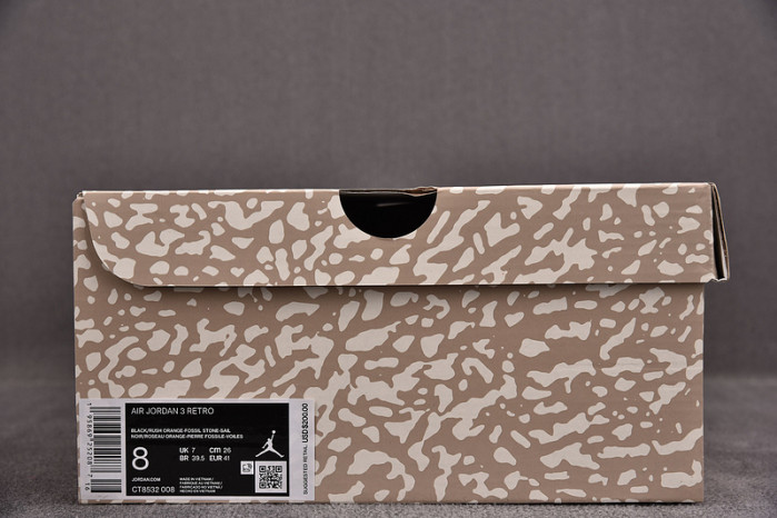 Air Jordan 3 Retro Desert Elephant CT8532-008