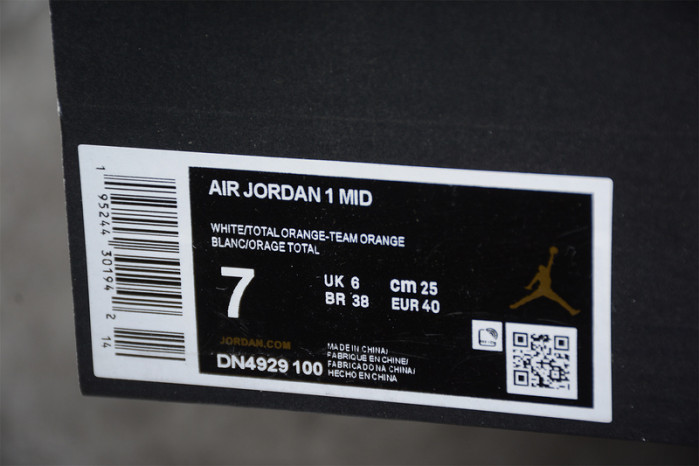 Air  Jordan 1 Mid Zig Zag DN4929-100