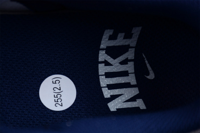 Nike Dunk Low Summit White Midnight Navy  FD9749-400