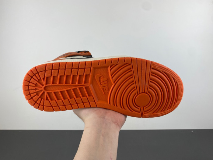 Air Jordan 1 Retro High OG Shattered Backboard (2025) DZ5485-008