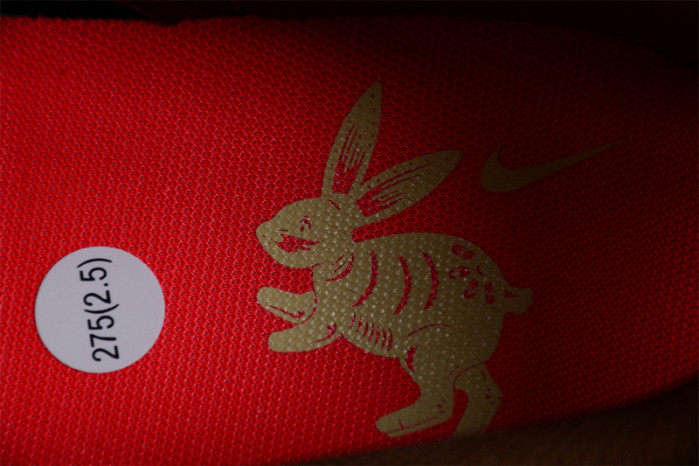 Nike Dunk Low "Year of the Rabbit" FD4203-661