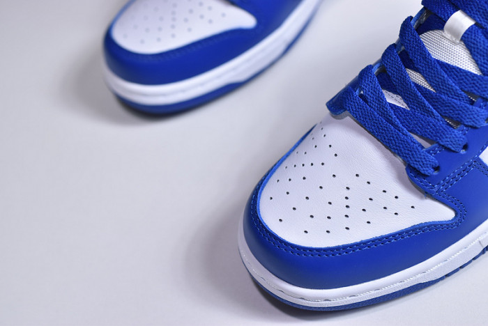 Nike dunk low sb kentucky  CU1726-100