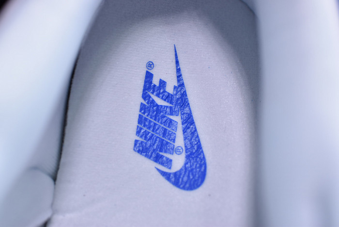 Nike dunk low sb kentucky  CU1726-100
