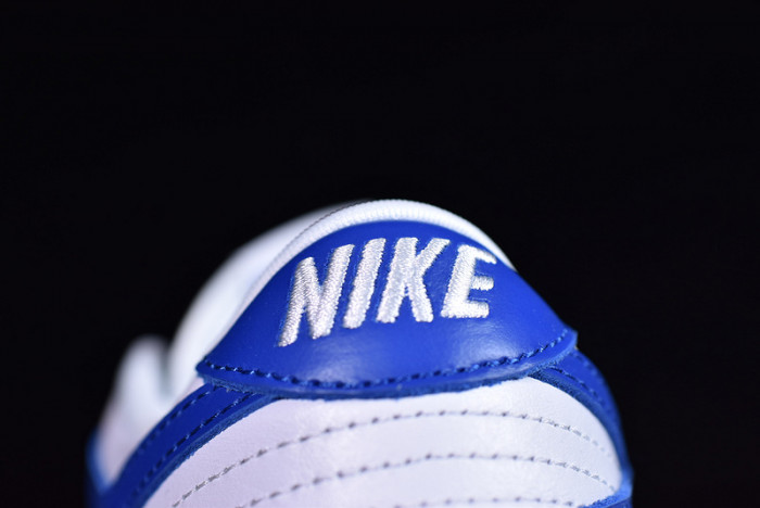 Nike dunk low sb kentucky  CU1726-100