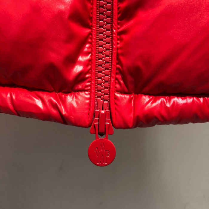 Moncler Down Jacket 29