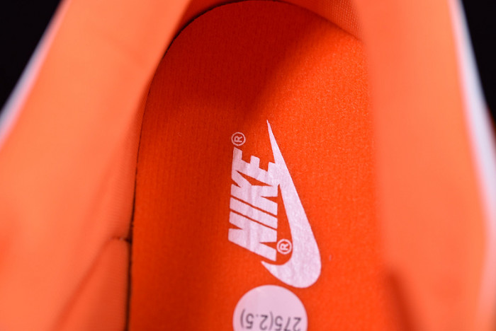 Nike dunk low sb syracuse  CU1726-101