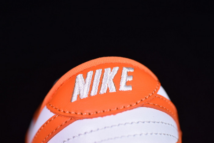 Nike dunk low sb syracuse  CU1726-101