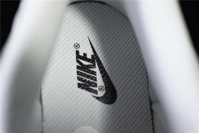 NIKE DUNK LOW PHOTON DUST (W) - DD1503-103