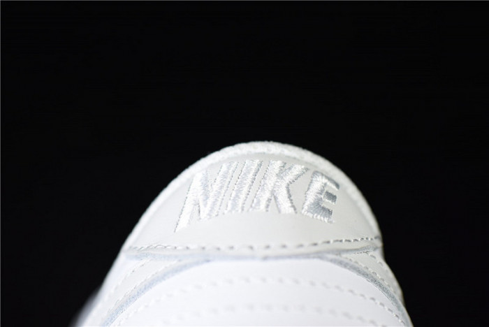 NIKE DUNK LOW PHOTON DUST (W) - DD1503-103