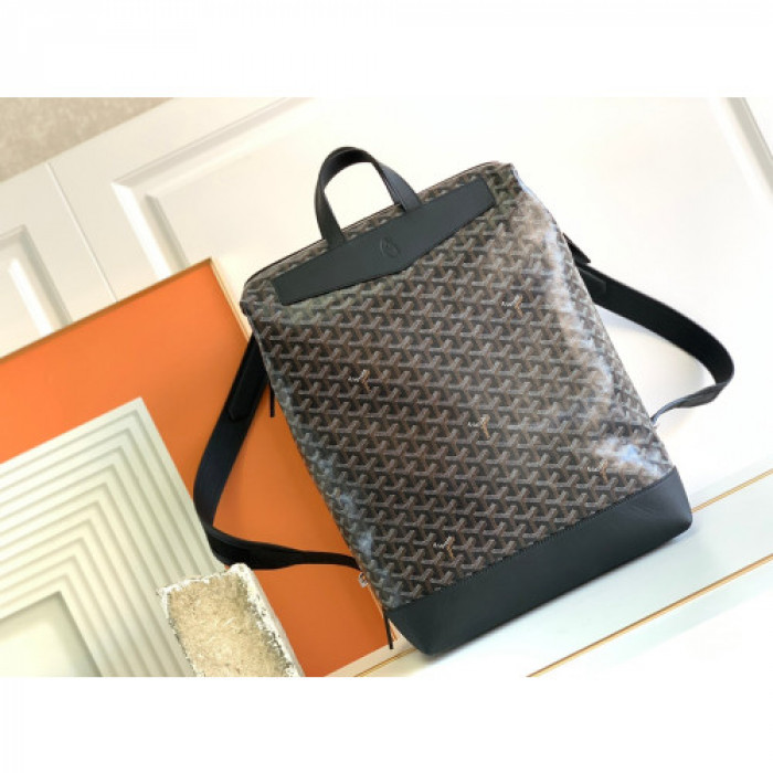 GOYARD BAG14