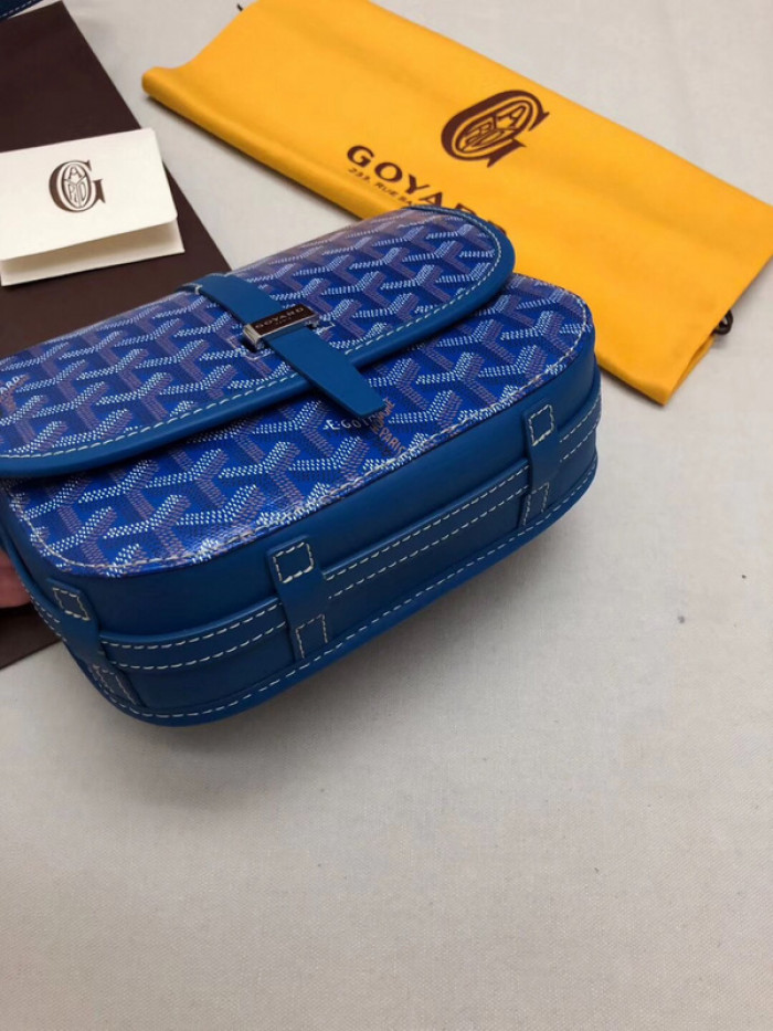 GOYARD BAG21