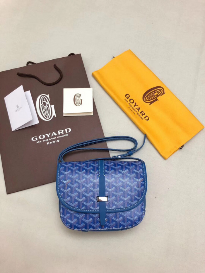 GOYARD BAG21
