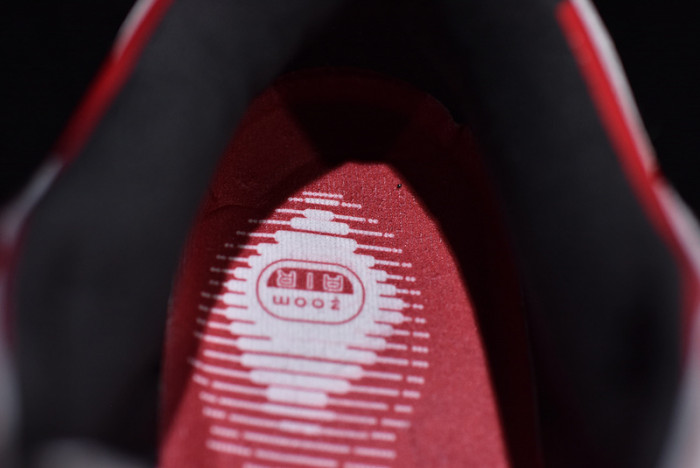 Nike Dunk SB Low Kuwahara Et  313170-611