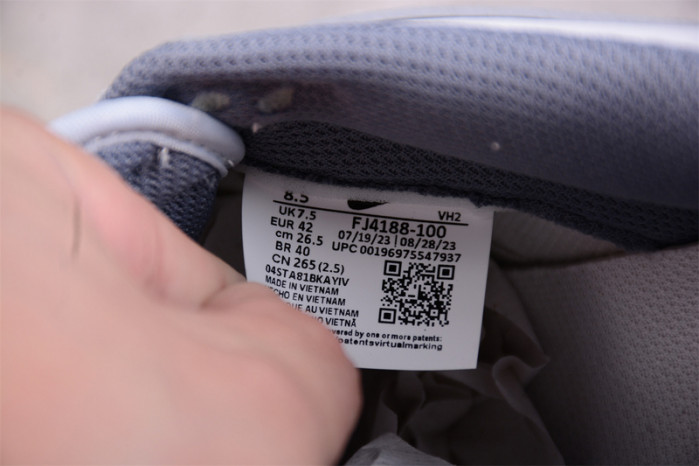 Nike Dunk Low SE Light Carbon FJ4188-100
