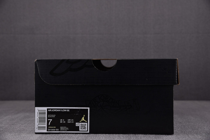 Air Jordan 1 Low SE Concord  DV1309-100
